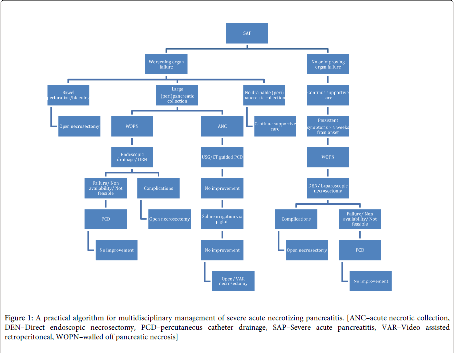 gastrointestinal-digestive-system-practical-algorithm