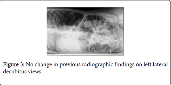 gastrointestinal-digestive-system-previous-radiographic