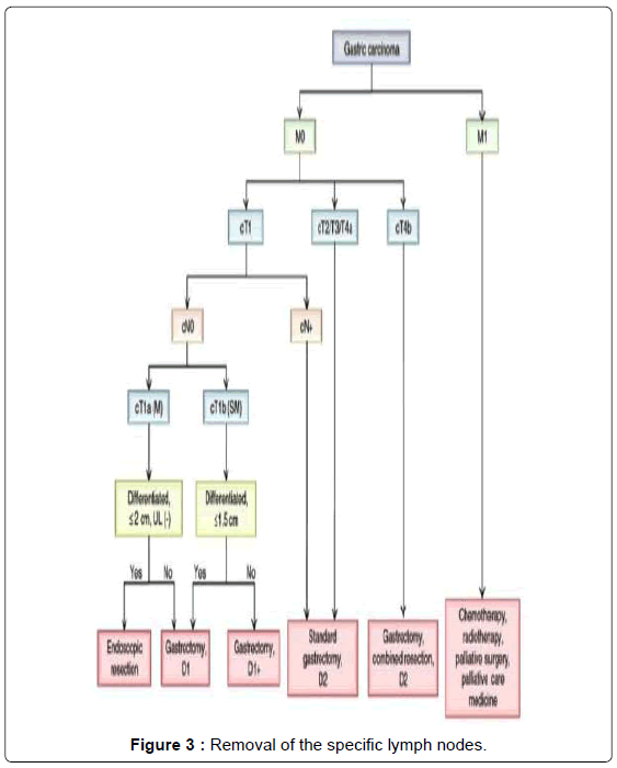 gastrointestinal-digestive-system-specific-lymph