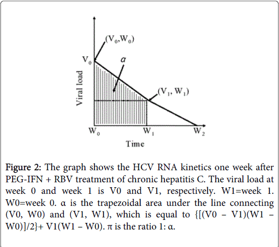 gastrointestinal-digestive-system-viral-load