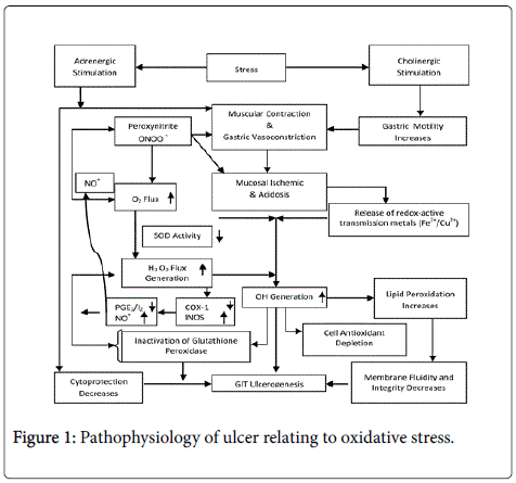 gastrointestinal-digestive-ulcer-relating