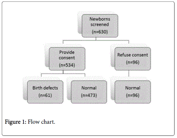 Birth Defects Chart