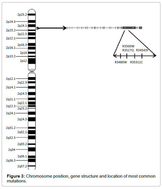 genetic-syndromes-gene-therapy-Chromosome-position