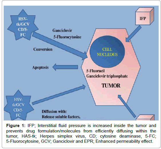 gene therapy for cancer research paper Suicide gene therapy kills prostate tumor cells according to the results reported in the jro paper, the long-term outcome for prostate cancer patients receiving gene therapy in combination . gene therapy for cancer research paper Suicide gene therapy kills prostate tumor cells according to the results reported in the jro paper, the long-term outcome for prostate cancer patients receiving gene therapy in combination .