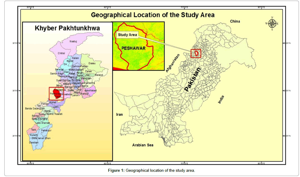 geographical location Bible history online books of the bible maps and historical geography these quick reference maps follow each book of the bible from genesis to revelation free bible maps in color or black and white for print or for use in presentations. geographical location Bible history online books of the bible maps and historical geography these quick reference maps follow each book of the bible from genesis to revelation free bible maps in color or black and white for print or for use in presentations.