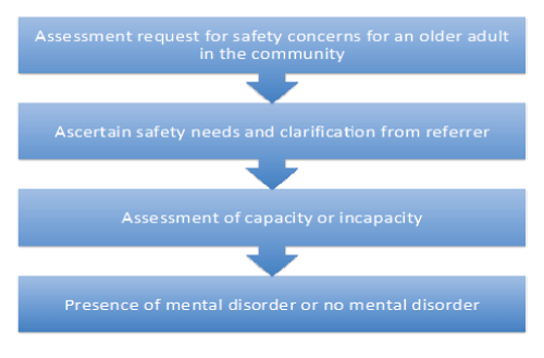 Mental Capacity Flow Chart