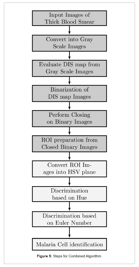 Malaria Identification Chart