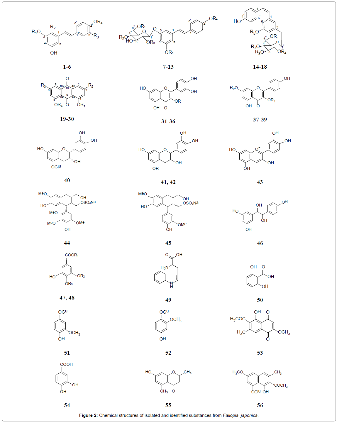 homeopathy-ayurvedic-medicine-Chemical-structures