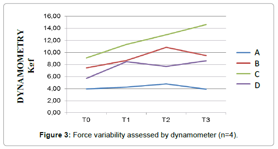 homeopathy-ayurvedic-medicine-Force-variability