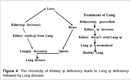 homeopathy-ayurvedic-medicine-Kidney-qi-deficiency