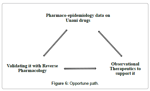 homeopathy-ayurvedic-medicine-Opportune-path