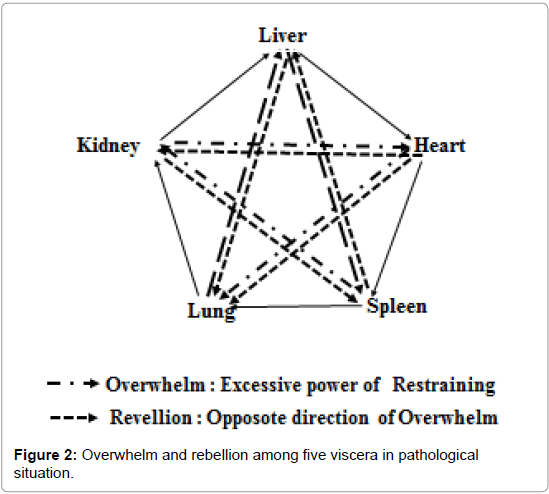 homeopathy-ayurvedic-medicine-Overwhelm-rebellion