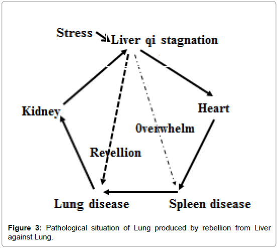 homeopathy-ayurvedic-medicine-Pathological-situation