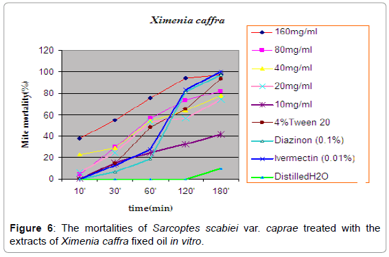 homeopathy-ayurvedic-medicine-Ximenia-caffra