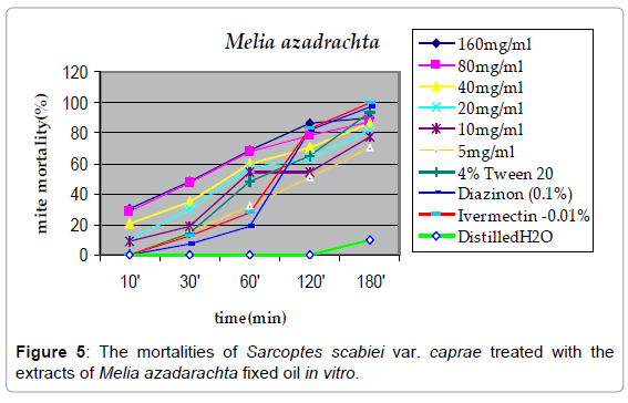 homeopathy-ayurvedic-medicine-azadarachta-fixed