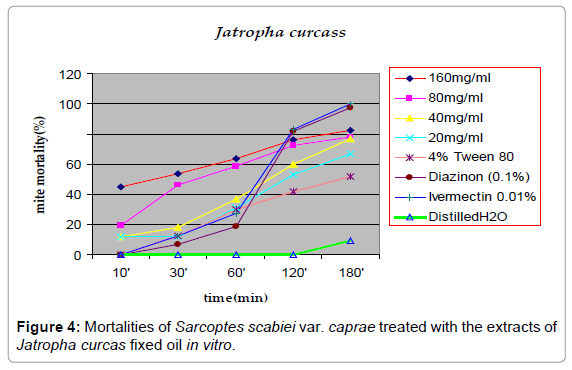 homeopathy-ayurvedic-medicine-curcas-fixed
