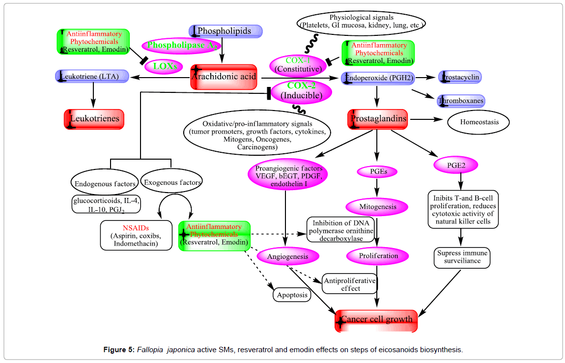 homeopathy-ayurvedic-medicine-eicosanoids-biosynthesis