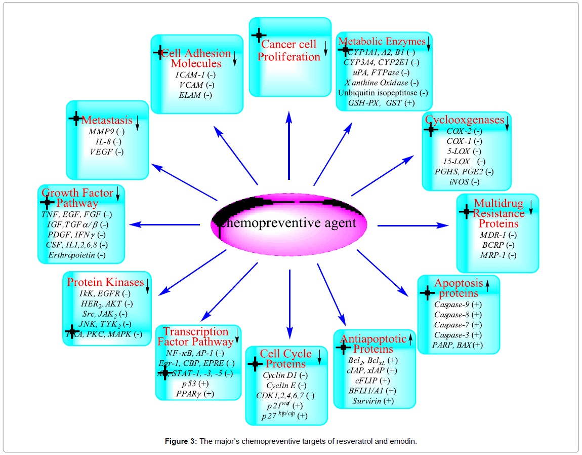 homeopathy-ayurvedic-medicine-resveratrol-emodin