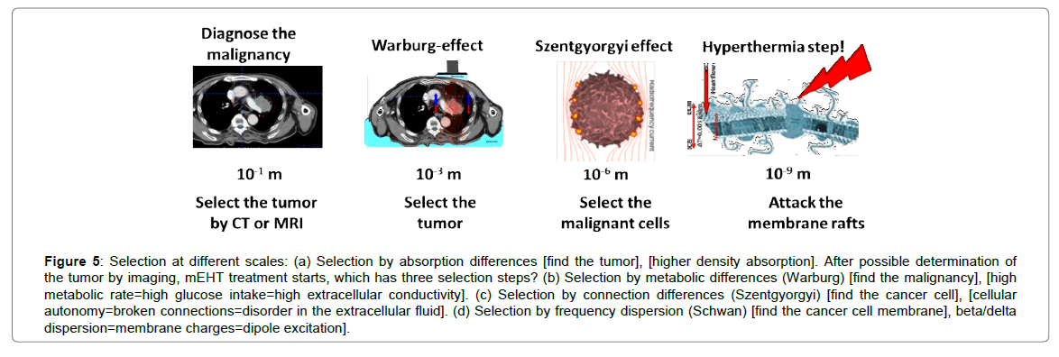 homeopathy-ayurvedic-medicine-tumor-imaging