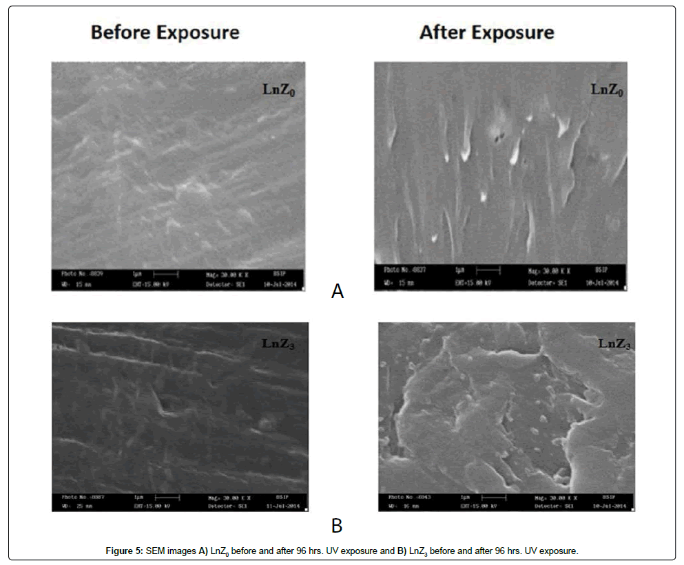 industrial-chemistry-SEM-images-exposure