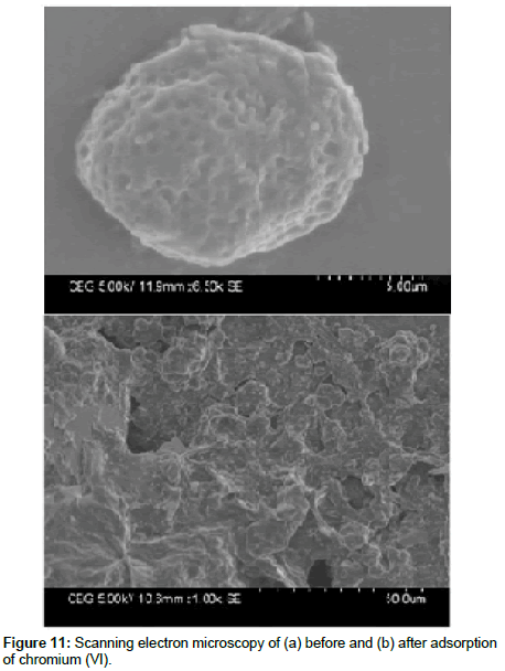 industrial-chemistry-electron-microscopy