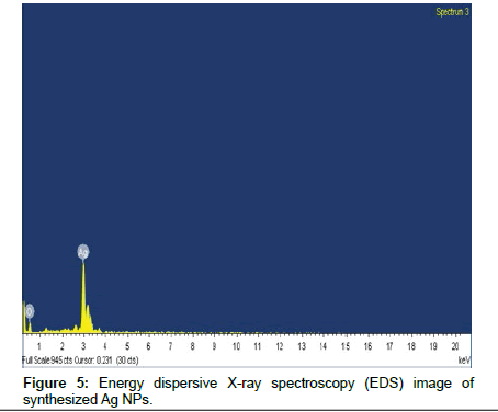 industrial-chemistry-Energy-dispersive