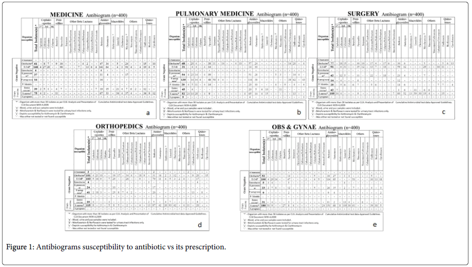 infectious-diseases-therapy-Antibiograms-susceptibility