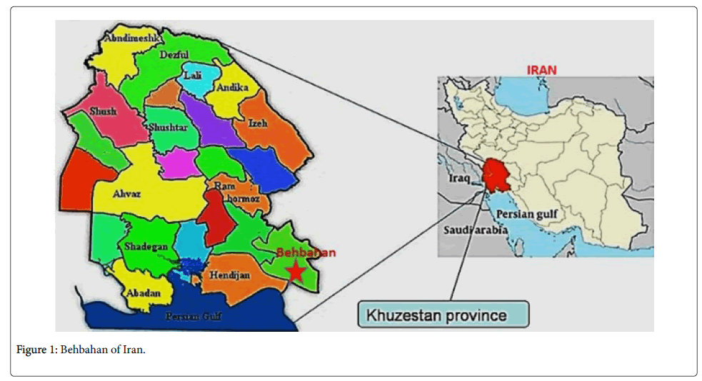 infectious-diseases-therapy-Behbahan-Iran