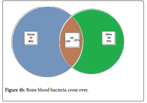infectious-diseases-therapy-Bone-blood