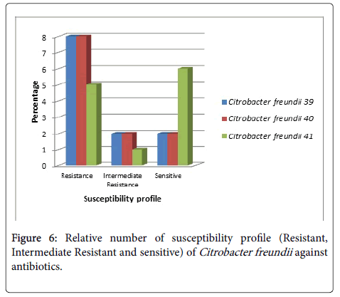 infectious-diseases-therapy-Intermediate-Resistant-sensitive