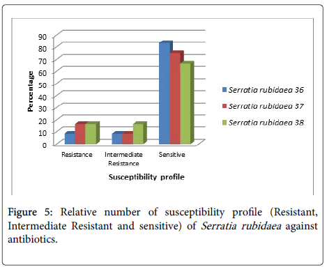 infectious-diseases-therapy-Serratia-rubidaea-against
