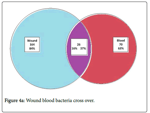 infectious-diseases-therapy-Wound-blood