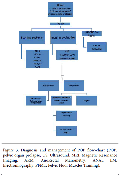 Continence Management Flow Chart