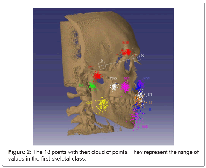 direct 3d cephalometric analysis performed on cbct omics international cephalometric analysis