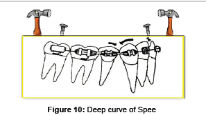 interdisciplinary-medicine-Deep-curve-Spee