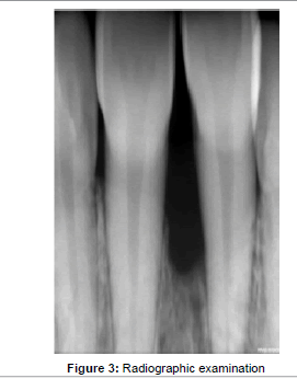 interdisciplinary-medicine-Radiographic-examination
