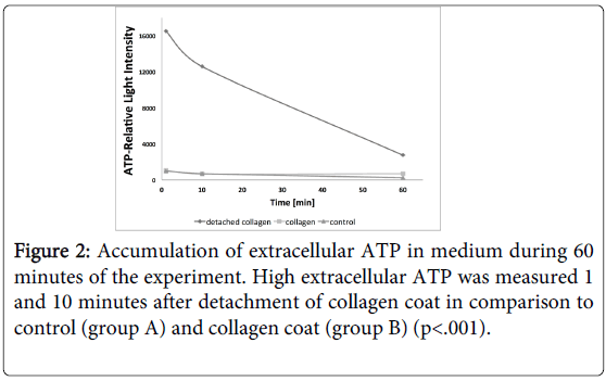 interdisciplinary-medicine-dental-science-Accumulation-extracellular