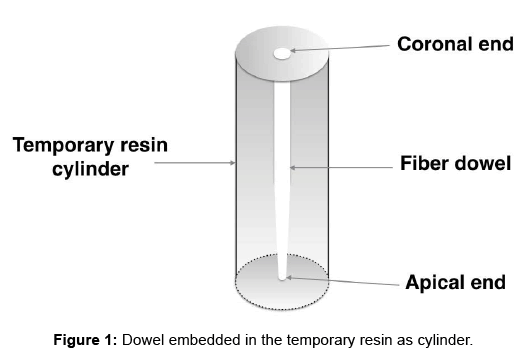 interdisciplinary-medicine-dental-science-Dowel-embedded-temporary