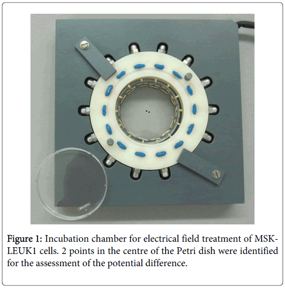 interdisciplinary-medicine-dental-science-Incubation-chamber