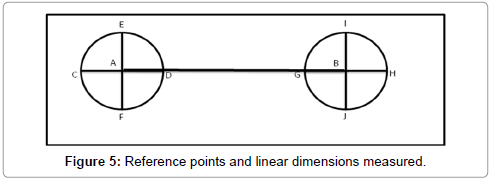 interdisciplinary-medicine-dental-science-Reference-points-linear-dimensions