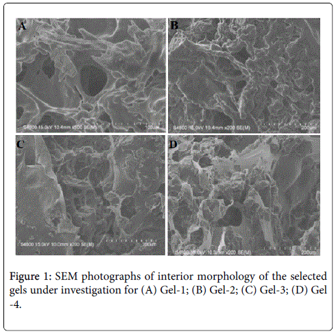 interdisciplinary-medicine-dental-science-SEM-photographs
