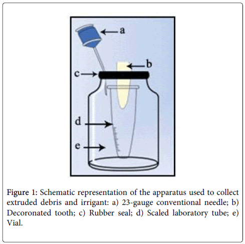 interdisciplinary-medicine-dental-science-Schematic-representation