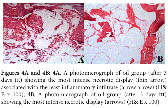 interdisciplinary-medicine-dental-science-photomicrograph-oil-group