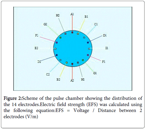 interdisciplinary-medicine-dental-science-pulse-chamber