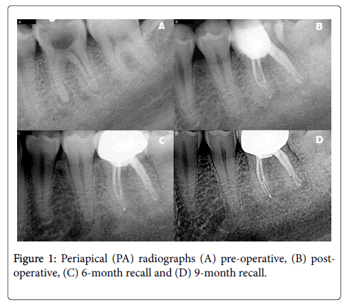 interdisciplinary-medicine-dental-science-radiographs