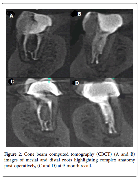 interdisciplinary-medicine-dental-science-tomography