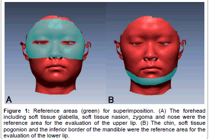 interdisciplinary-medicine-inferior-border