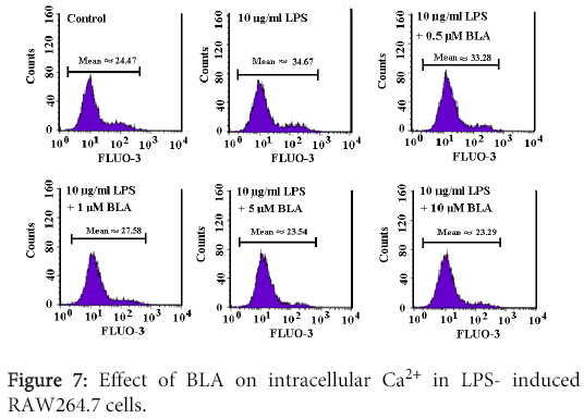 interdisciplinary-microinflammation-Effect-BLA-intracellular
