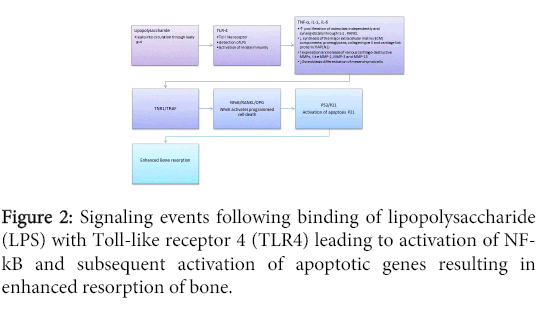 interdisciplinary-microinflammation-Signaling-events