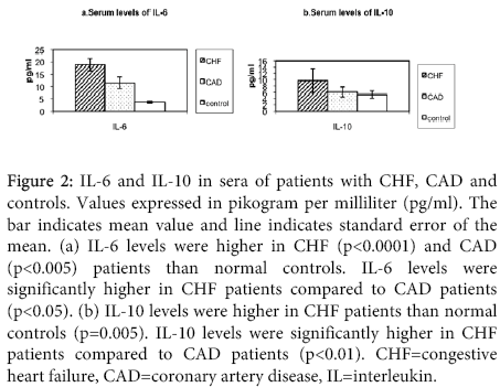 interdisciplinary-microinflammation-coronary-artery-disease